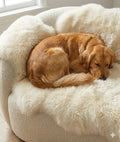 Genuine Ivory Sheepskin Couch Cover for Dogs — Natural Sofa Protector (Plastic-Free)